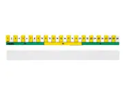 Past Horizon - Photo Scale Ruler - 30cm