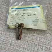 Echo 90024205030 Screw, 5 X 30 OEM (2)