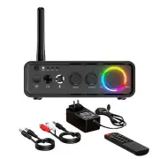 DC12-24V HiFi Stereo Mini Amplifier TPA3116D2 Bluetooth 5.3 IR Headphone 100W*2