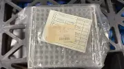 Teledyne Foxy Fraction Collector Rack Holds, RACK FOR 13 MM DIAMETER TUBES (144)