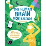 THE HUMAN BRAIN IN 30 SECONDS