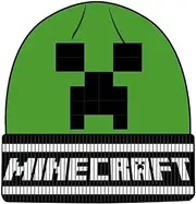 [Heroes Inc.] Beanie Minecraft