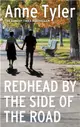 Redhead by the Side of the Road：Longlisted for the Booker Prize 2020