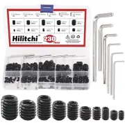 230 Socket Set Screws, SAE Sizes, Black Alloy Steel Hex Drive, 10 Assorted Sizes