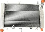 Aluminum Radiator Cooler Cooling Coolant Compatible with Yamaha FZ1 FZS1000 Fazer FZ 1 FZS 2001-2005 1000 2001 2002 2003 2004 2005