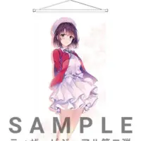 在飛比找蝦皮購物優惠-不起眼女主角培育法 fine ANIPLEX+ 劇場版 加藤