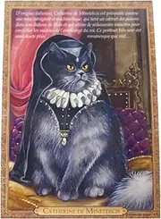 Catherine de Minetdicis Catrine de Medicis Cat Postcard, Postcard, Chats enchantes 94160PC