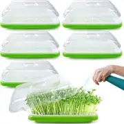 Pack 5 Seed Sprouter Tray with Drain Holes, Soil-Free Green-5 Pack.