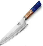 MITSUMOTO SAKARI 21 cm Japanese Kiritsuke Chef Knife, Hand Forged 67 Layers 440C Damascus Steel Kitchen Knives, Professional Meat Sushi Chef's Knife (Blue Pomegranate Handle and Gift Box)