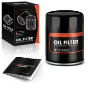 Engine Oil Filter for Ford F150 Expedition Jeep International Harvester 10K-Mile (for: Jeep)