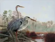 Heron Egret Accent & Decor Tile Robert Binks Wildlife Art REB011AT