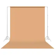 Savage Widetone Beige Studio Photography Backdrop Prop Background Paper