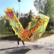Dragon Dance 8m & 10m Meters Dragon Dance Props for Fitness Juggling and Games 3D Silk Dragon Chinese New Year Dragon Fitness Ribbon