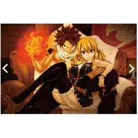 在飛比找蝦皮購物優惠-FAIRY TAIL 魔導少年 拼圖 1000片 木質拼圖 