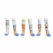 DEMDACO Noah's Ark Animals Child's 18-36 Months Stretch Cotton Knee High Socks