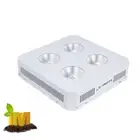 LushPro COB LED 400w Full spectrum - BEST result