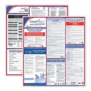 ComplyRight Fed/State Georgia Compliance Labor Law Poster Kit, Laminated,