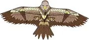 yuksok Eagle Kite,Large,Portable,with String,Outdoor Game,Novelty Easy to Fly for Park Beach Outdoor for Beginners