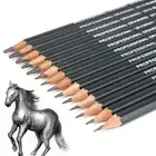 14Pcs Sketch Pencils Set Sketching Charcoal Drawing Graphite Pencil Art