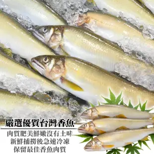 【三頓飯】宜蘭鮮凍大香魚(共40尾_8尾/920g/盒)