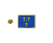 pins pin's flag national badge metal lapel hat button cheshire council