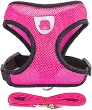 Cat Harness Vest Walking Lead Leash for Puppy Dogs Collar Polyester Adjustable Mesh Dog Harness