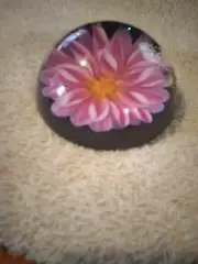 Glass Dome Floral Paper Weight By Harold Feinstein