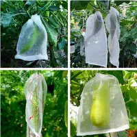 在飛比找Yahoo!奇摩拍賣優惠-促銷打折 水果防蟲保護袋果樹套袋紙袋菠蘿蜜防蟲袋加密菜地南瓜