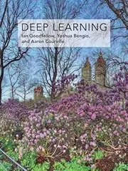 [Ian Goodfellow] Deep Learning (Adaptive Computation and Machine Learning Series) - Hardcover