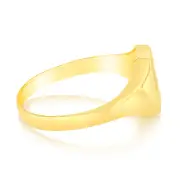 9ct Yellow Gold Signet Gents Ring, T