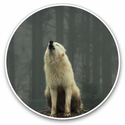2 x Vinyl Stickers 30cm - Wild Arctic White Wolf Forest Cool Gift #15660