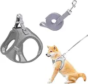 No Pull Vest,Cat Harness and Leash Set,Lead Set Escape Free,Soft Dog Harness Small Dog with,Breathable Dog Vest,with Leads,for Daily Walking,Adjustable Soft Padded