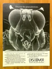 1981 Discover Magazine Science Adventure Vintage Print Ad/Poster Man Cave Decor