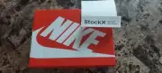 Nike Dunk Low Argon 2022 PS / DV2635-400 Kid Size 11, StockX verified