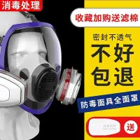 在飛比找Yahoo!奇摩拍賣優惠-德國日本進口化工氣體防毒面具全面罩噴漆頭罩全臉防塵頭套放毒氧