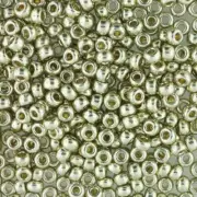 Duracoat Galvanized Silver Miyuki Seed Beads 6/0 (6-94201-TB)