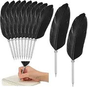 Chinco 12 Pcs Feather Ballpoint Pen Ink Quill Vintage Quills Pen Soft Fluffy Office Wedding Signature Bridal Party Supplies, 10. 6 Inches in Length(Black)