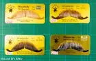 Mustache European Style 100% Human Hair Theatrical Facial Disguise Asso. Colors