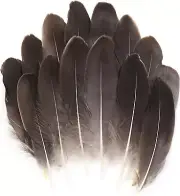 Color: Natural ulk - 120Pcs 6-8 Inch Real Goose Feathers for DIY Hallo, NEW