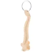 Car Puzzle Toys Human Spine Model Skeleton Keychain Portable