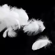 100Pcs White Goose Feathers - 3-5Inches Natural White Feathers for DIY Crafts -