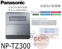 在飛比找Yahoo!奇摩拍賣優惠-㊑DEMO影音超特店㍿日本Panasonic NP-TZ30