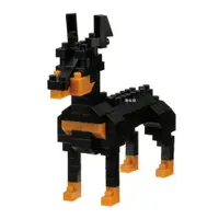 在飛比找蝦皮商城優惠-NanoBlock 迷你積木 - NBC 255 杜賓犬