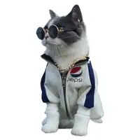 在飛比找momo購物網優惠-貓狗藝術眼鏡(寵物太陽眼鏡 貓咪狗狗拍照眼鏡 寵物攝影用品 