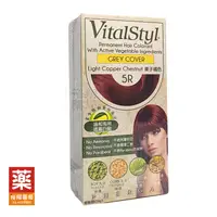 在飛比找樂天市場購物網優惠-VitalStyl│綠活染髮劑│西班牙進口 栗子橘5R