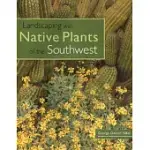 LANDSCAPING WITH NATIVE PLANTS OF THE SOUTHWEST