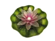 Lotus Flower Lily- Pearl - Boracay Rose Pink - FREE GIFT WRAPPING