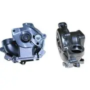 INA Water Pump - 538017810