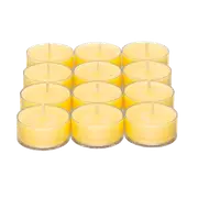 Merry Mimosa Universal Tealight Candles