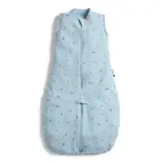 Ergopouch Toddler Jersey Sleep Suit Bag Size 2-4 Years Dragonflies Tog 0.2